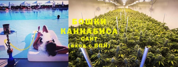 PSILOCYBIN Ладушкин